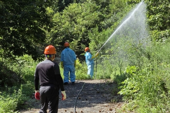 강릉시, 농림지 동시발생 성충기 병해충 방제 실시