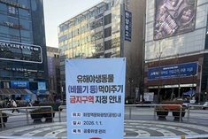 고양시, 비둘기 등 유해야생동물 먹이주기 금지구역 10개소 지정