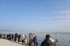 초록빛 바다목장 '장흥 매생이 양식장' 사진명소로 각광