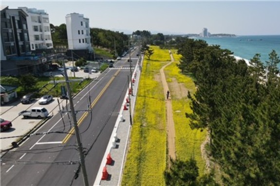 강릉시, 기후변화 대응 공원·녹지 힐링공간 조성 박차