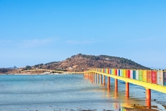 고흥군, 중앙아시아 고려인 청소년에게 고흥의 매력을 알리다