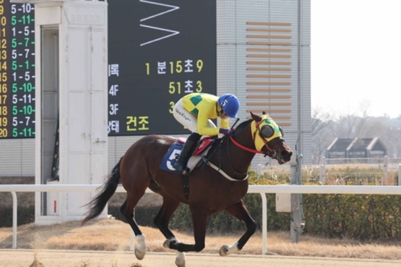 차분해서 더 강한 '강심장' 진겸 기수, 통산 300승 쾌거
