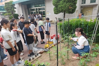 의정부시, 15개 학교에 생태텃밭 '스쿨팜'