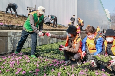 과천시, 굴다리길 '시민 참여 꽃길'로 새 단장