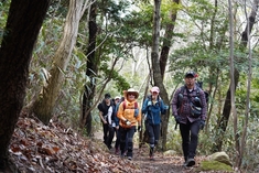 해남군 "새봄, 걸으며 힐링하자"…28∼29일 달마고도 힐링걷기
