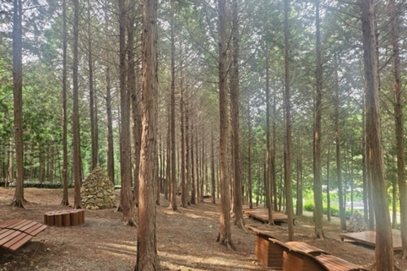 '지붕 없는 미술관' 고흥으로 떠나는 봄맞이 3색 트레킹