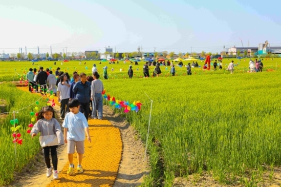 군산꽁당보리축제, 보리랑 봄이랑 21번째 이야기