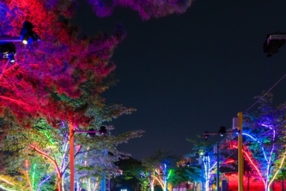 "해 지면 시작된다"…가야테마파크, 야간개장 실시