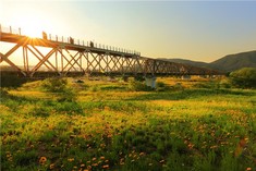 낙동강 석양 따라 달린다…김해 '선셋 바이크'